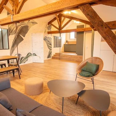 Appartement Loft Atelier Hyper Centre Albi Extérieur photo