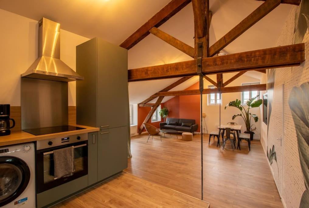 Appartement Loft Atelier Hyper Centre Albi Extérieur photo